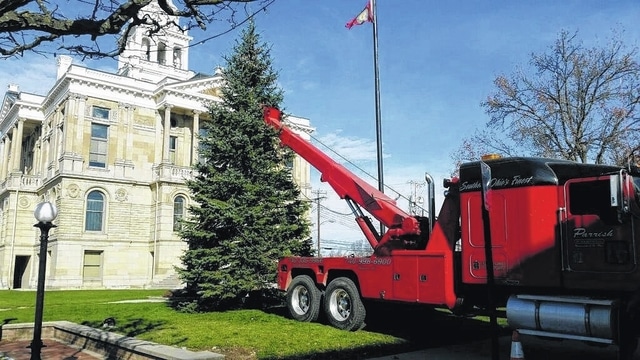 Christmas tree donated for Fayette County Courthouse lawn
