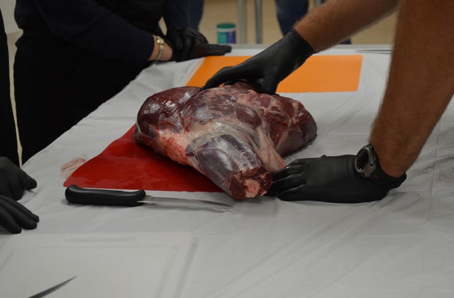Ohio Division of Wildlife teaches participants how to can venison