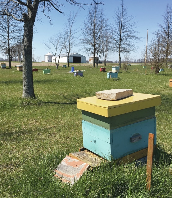 With Ohio’s honey bees in danger, interest in beekeeping grows